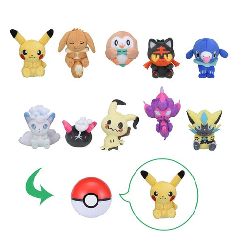 Petit Plush Toy IN Monster Ball Case Vol.3 from Pokemon Center Japan