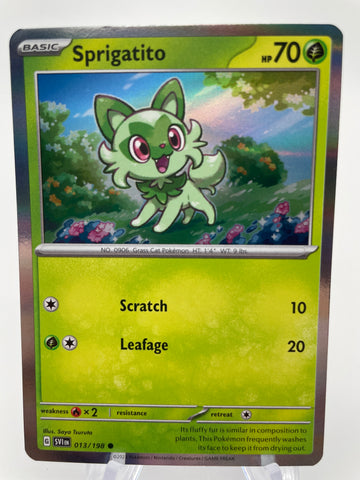 Sprigatito (013/198) The Green Cat