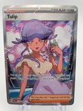 Tulipe PARen 244/182