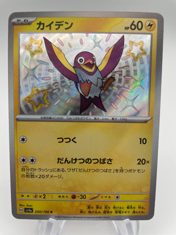 Shiny Wattrel SV4A 250/190 : Japanese