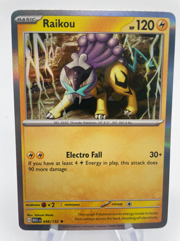 Raikou MEGen 048/13 Holo