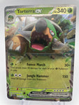 Torterra ex TEFen 012/162