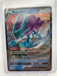 Suicune V (031/203)