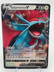 Salamence V (143/189)